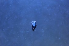 IMG_2484.jpg
