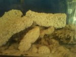 20 gal1.jpeg