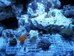 20120522_072334.jpg
