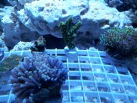 20120522_072351.jpg