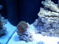 20120605_105905.jpg