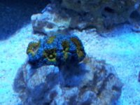 20120606_224040.jpg