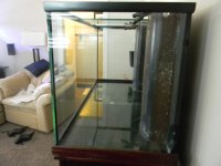 good tank pics 004.JPG