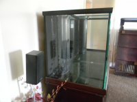 good tank pics 005.JPG