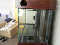 good tank pics 015.JPG