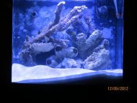 BIO 5-12-12.jpg