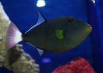 IMG_1161.JPG
