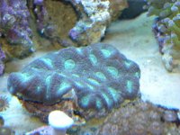 DSCN5526.jpg