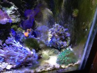 IMG_0542s.jpg