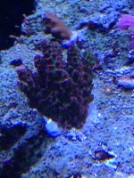 photo 4 (10).jpg