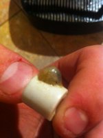 ImageUploadedByReefs1355097950.030994.jpg