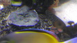 IMAG1087.jpg