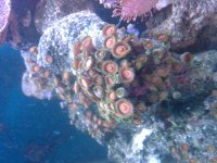 20120724_212925.jpg