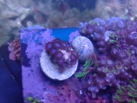 20120724_213102.jpg