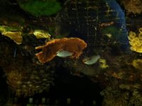 photo (1).jpg