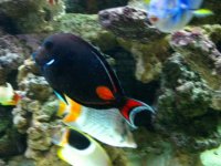 IMG_3978.jpg