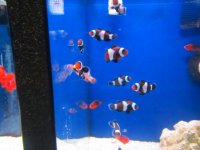 IMG_1462.JPG