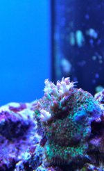 IMG_8027.jpg