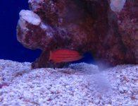 IMG_1566.JPG