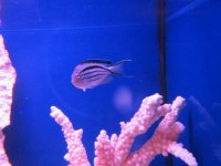 IMG_1568.JPG