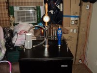 DSC00236.jpg