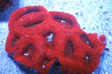 IMG_8307.jpg