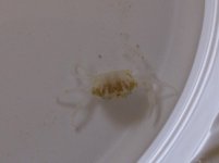 IMG-20130415-00314.jpg