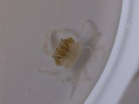 IMG-20130415-00316.jpg