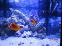 IMG_0522_015.jpg