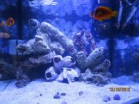 IMG_0523_016.jpg