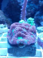 IMG_20120805_000512.jpg