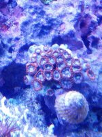 IMG_20120730_130112.jpg