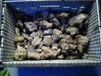 Ruble rock1104233730.jpg