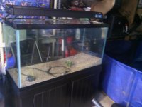 IMG_20120915_084448.jpg