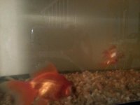 20130324_121116.jpg