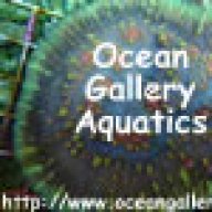 oceangallery