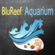 blureef