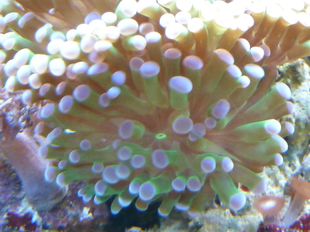 P1000187.jpg