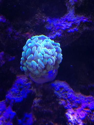 6bdf32d1050e3a63a96f0288509e3ea5.jpg