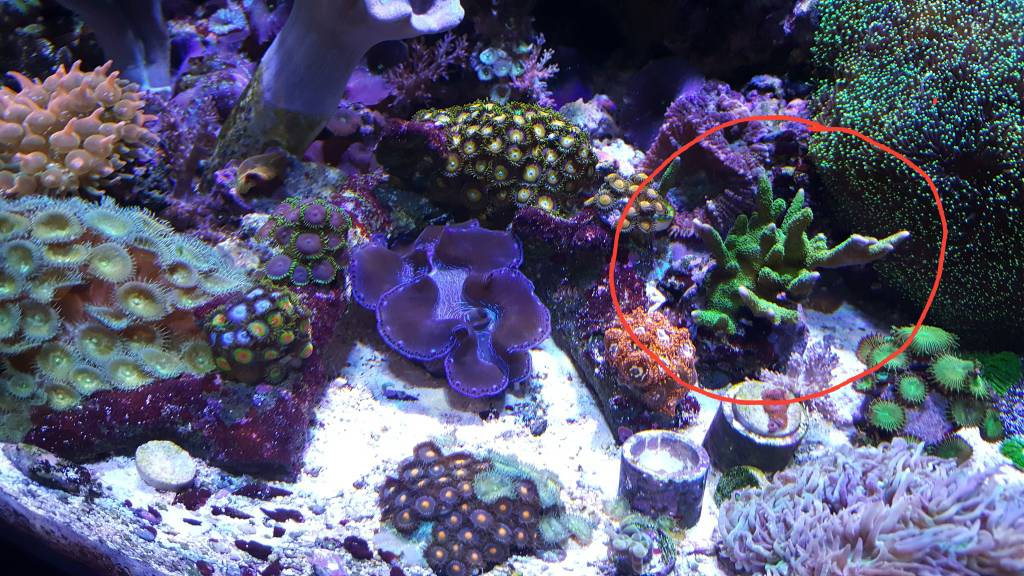 b79b73f48db5e624da1acbc648abe695.jpg