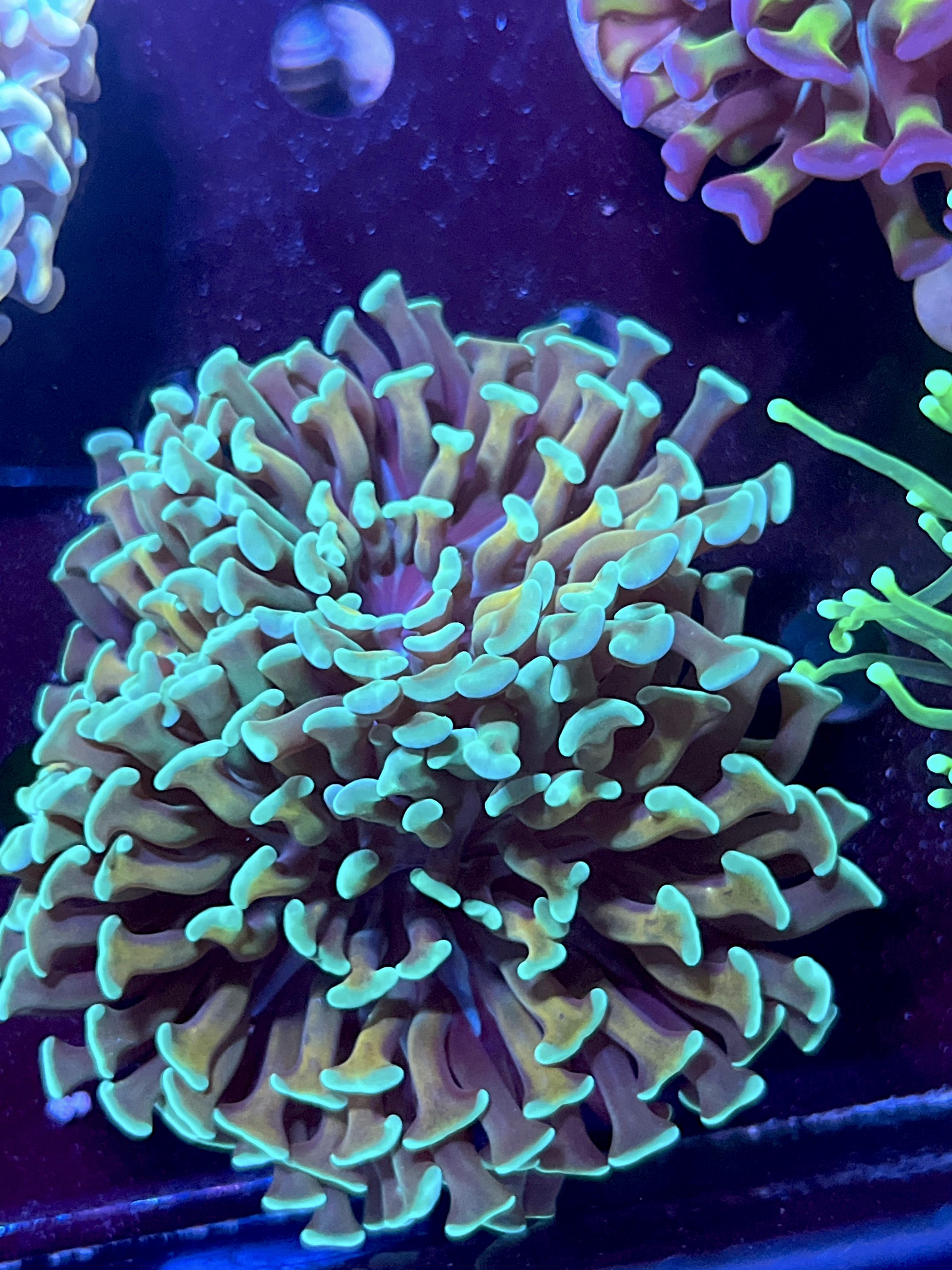b95871c827e3e4da5c372b7489e54f6e.jpg