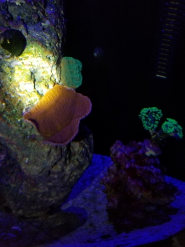 4ed9259c699573908f2777091e314d16.jpg