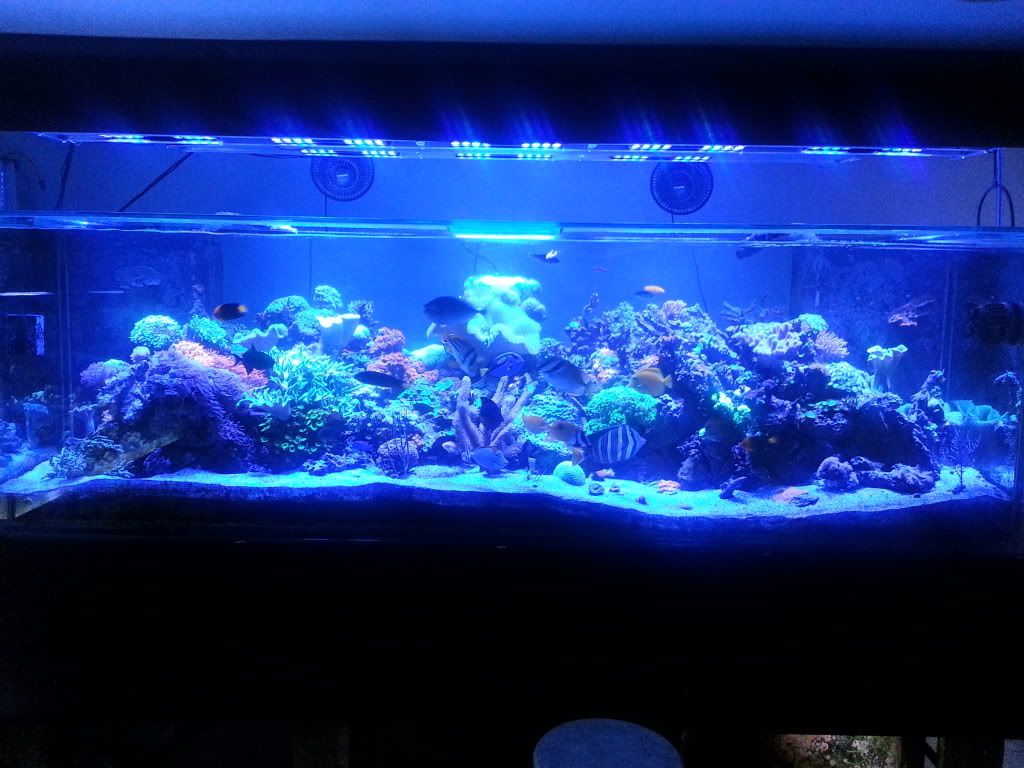20120830_221940.jpg