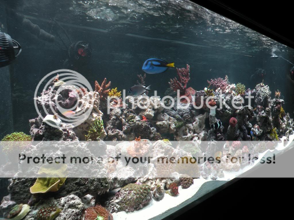 DSCN4162.jpg