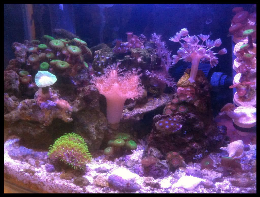 FTS20110408sideB.jpg