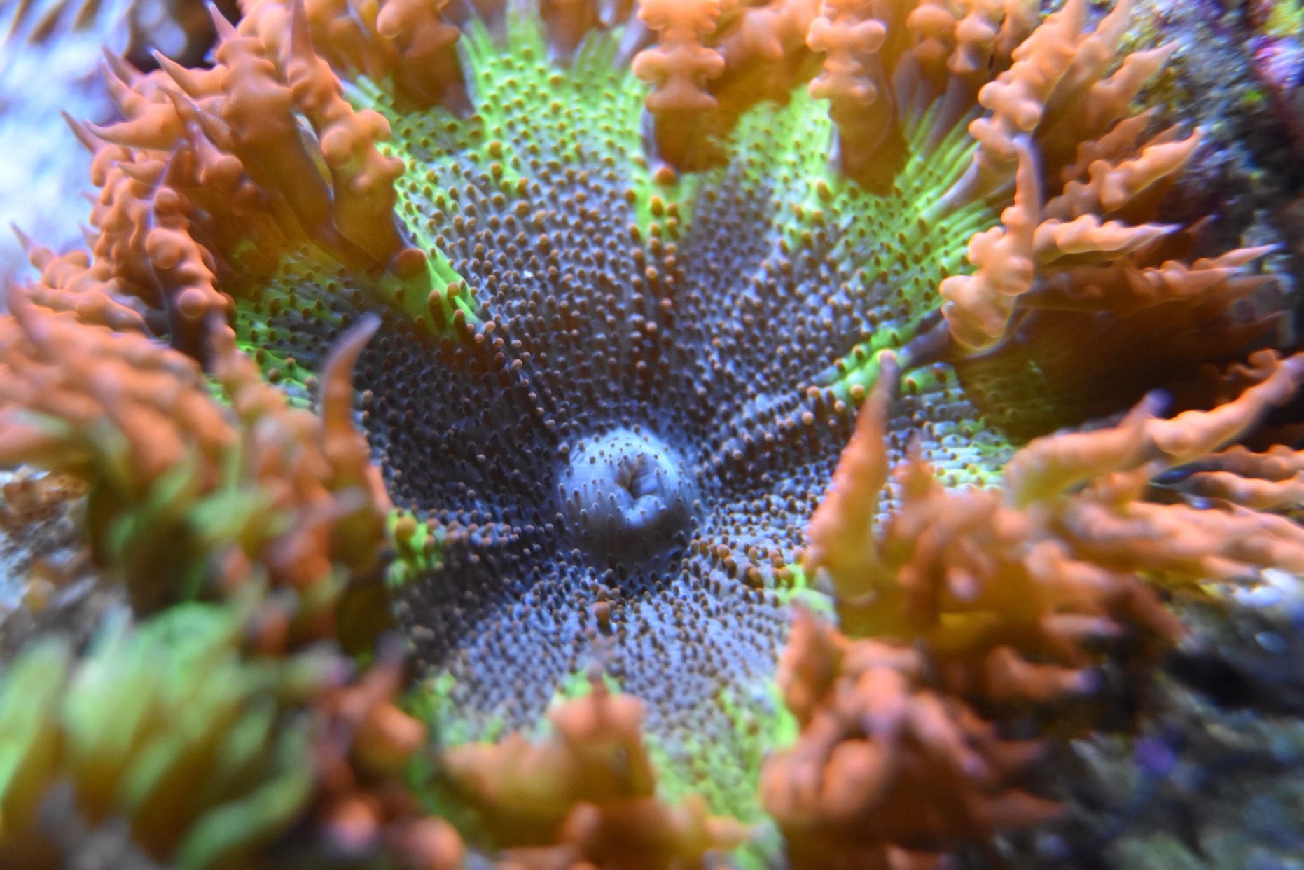 a33d122e6309cf6a19f33550d5c34f82.jpg