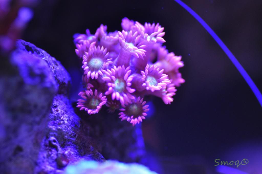DSC_0227.jpg