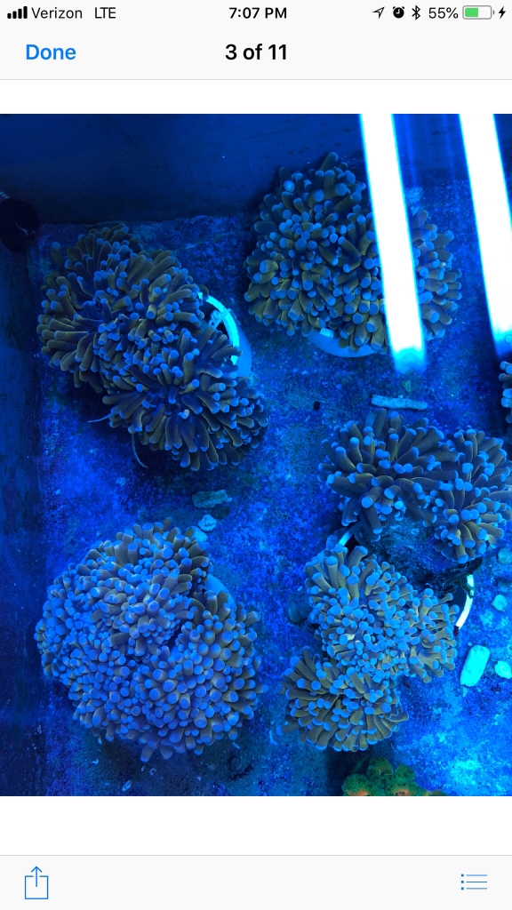 367cdfc8cd91551cc9c96c28f5efe4a5.jpg