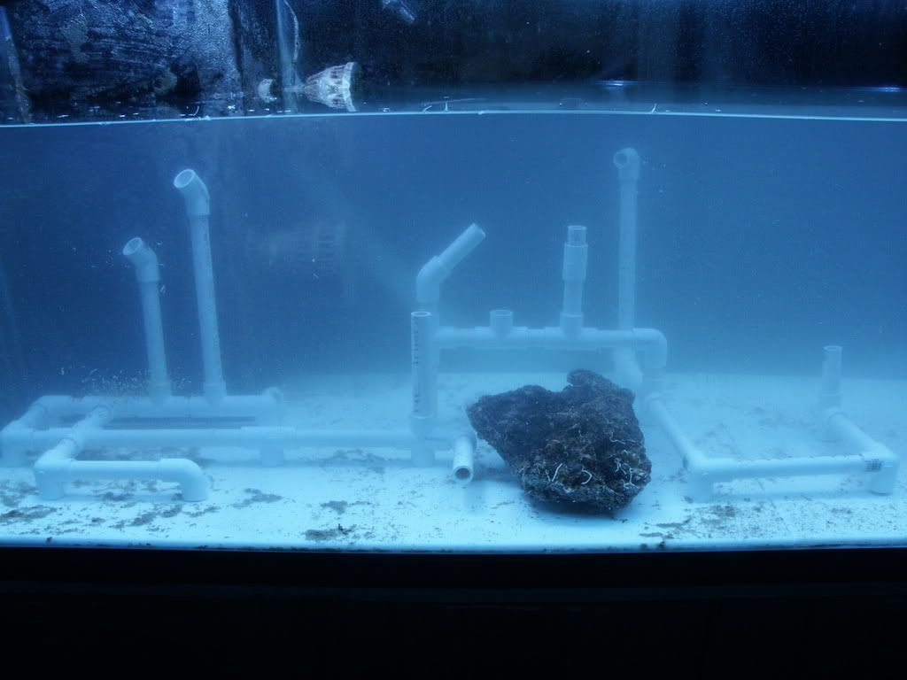 PICT0243.jpg