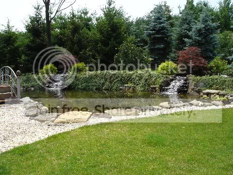 POND6.jpg